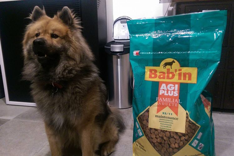 Бабин - корм для собак