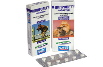 Ципровет — таблетки для собак