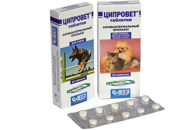 Ципровет - таблетки для собак