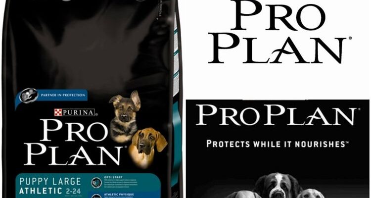Корм ProPlan (Проплан) для собак