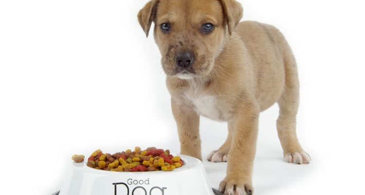 Родные корма для собак: отзывы, цена