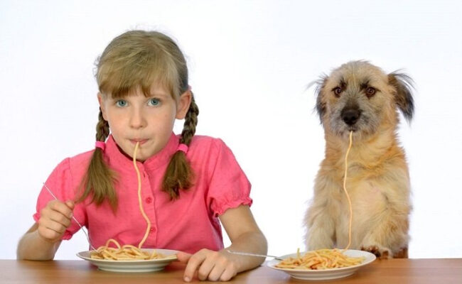 Может ли собака есть макароны?