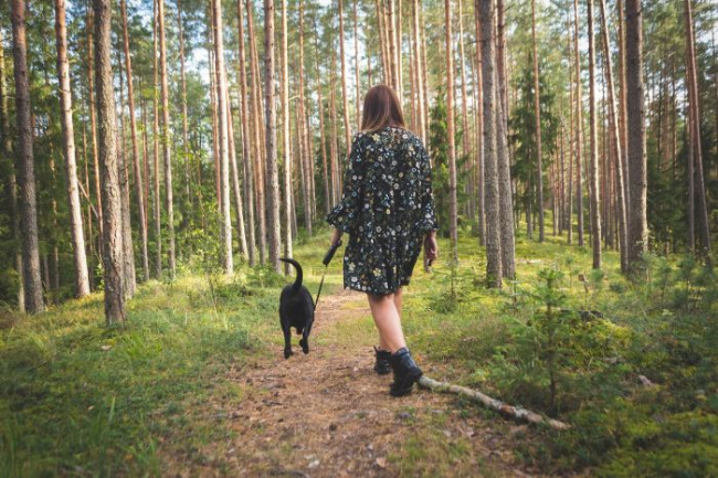 Dziewczyna z psem na spacerze w lesie