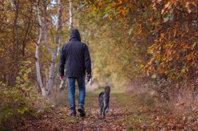 Mężczyzna na spacerze z psem w lesie