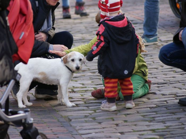 Dzieci podchodzą głaskać psa na ulicy.