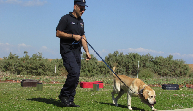 Какие есть породы полицейских собак? В чем заключается их обучение и работа?