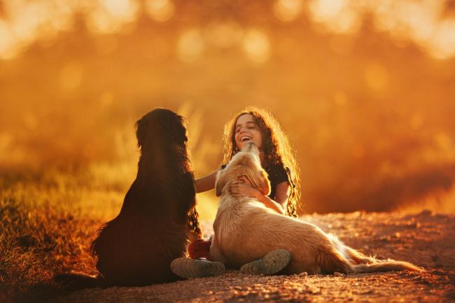 Dziecko i pies mogą stać się przyjaciółmi. Ważne jest odpowiednie ich zapoznanie.