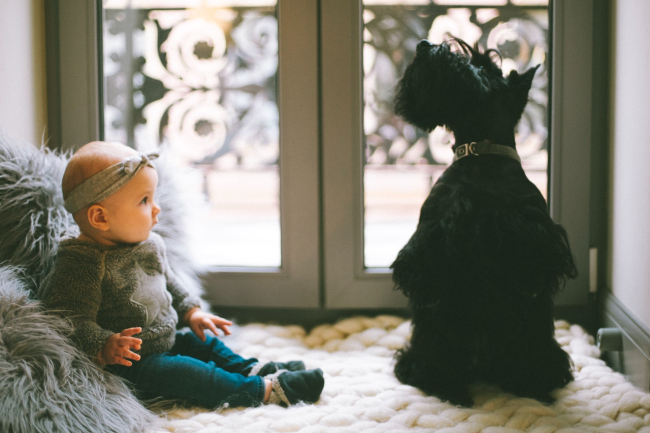 Wychowanie dziecka z psem pozytywnie wpływa na rozwój emocjonalny dziecka, a także przyspiesza rozwój fizyczny.