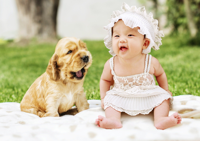 Собаки для детей-Какую породу выбрать? Чем должна характеризоваться собака для ребенка?