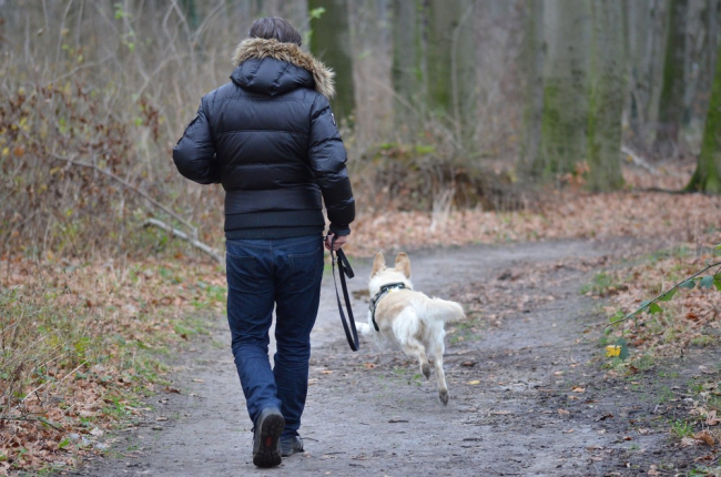 Dla własnego bezpieczeństwa oraz dla bezpieczeństwa psa zawsze powinniśmy wyprowadzać go na smyczy. Nawet w lesie czy na polanie czyhają groźne niebezpieczeństwa. Można zastosować smycze z dalekim zasięgiem, aby pies mógł swobodnie biegać.