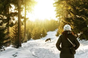 Зимние прогулки с собакой: о чем помнить?